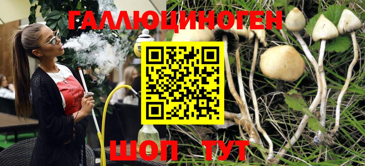 Лениногорск  купить закладку  Вход с VPN  Псилоцибиновые грибы мухоморы  Псилоцибиновые грибы ЛСД 